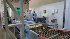 WhatsApp Image 2025-11-07 at 13.59.50 (1)