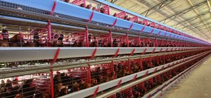 WhatsApp Image 2025-11-07 at 13.59.50 (2)