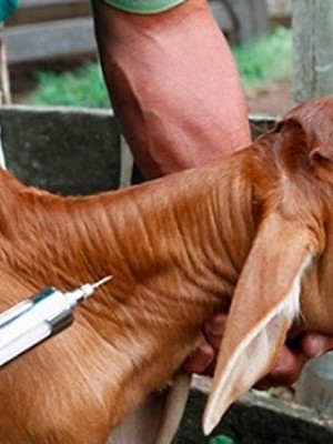 WhatsApp Image 2025-11-10 at 16.31.14