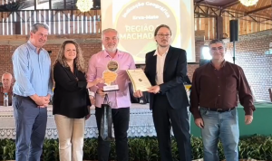 cerificação ig machadinho 11