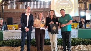 cerificação ig machadinho 19