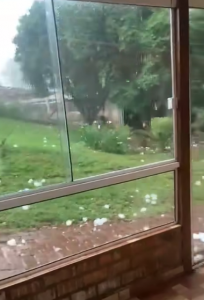 temporal 24 11 2025 1