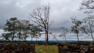 5c882989-a918-4b29-b884-66a1f1e76f88