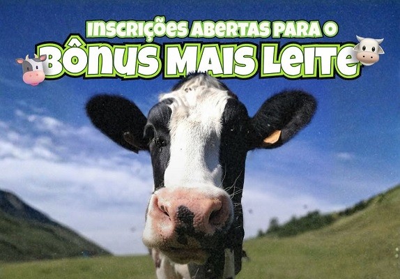 SaveClip.App_580590538_18535939717019274_5966398142559087850_n