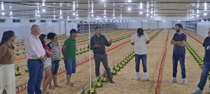 WhatsApp Image 2025-12-04 at 14.20.20 (2)