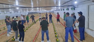 WhatsApp Image 2025-12-04 at 14.20.21 (1)