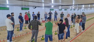 WhatsApp Image 2025-12-04 at 14.20.21 (3)