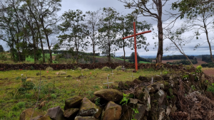 c1d3fa14-cb41-418a-8016-46a467410de7