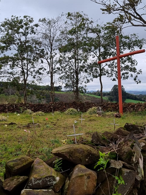 c1d3fa14-cb41-418a-8016-46a467410de7