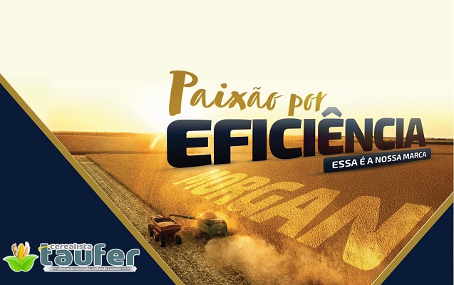 WhatsApp Image 2026-01-05 at 14.16.34