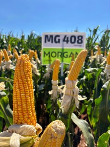 WhatsApp Image 2026-01-16 at 15.12.29