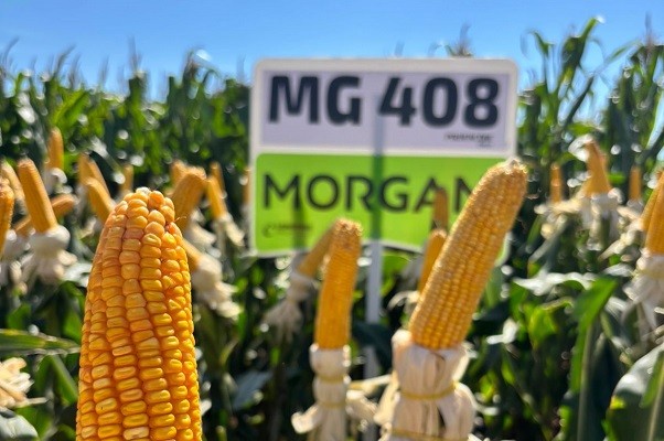 WhatsApp Image 2026-01-16 at 15.12.29