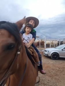 WhatsApp Image 2026-01-19 at 14.32.27