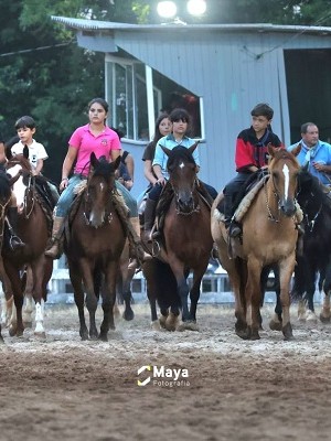 WhatsApp Image 2026-01-19 at 14.55.59