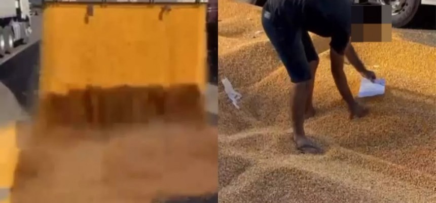 WhatsApp-Image-2026-01-20-at-09.27.50