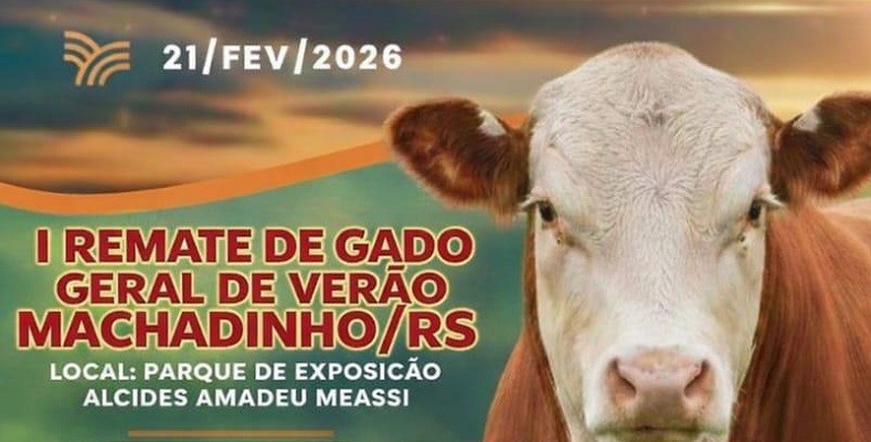 WhatsApp Image 2026-01-27 at 07.48.00 (2)