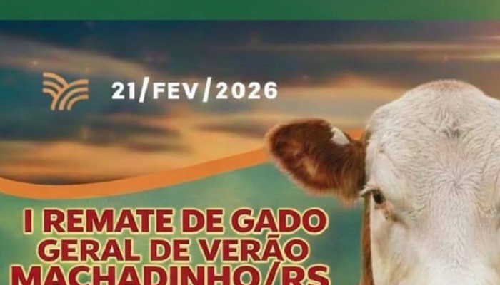 feira gado verão 1