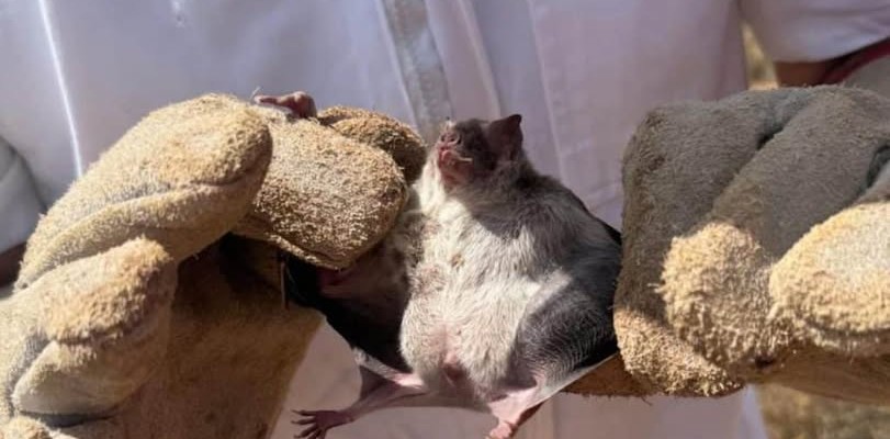 639055907_1561521479307115_932333663826306231_n