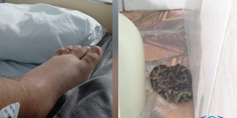 67493741698c4823a95523.36598845