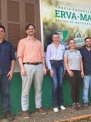 WhatsApp Image 2026-02-09 at 14.55.47