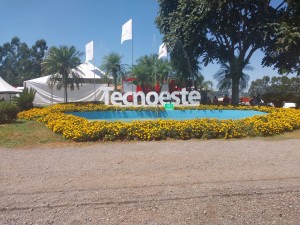 WhatsApp Image 2026-02-13 at 14.31.21 (2)