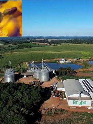 WhatsApp Image 2026-02-18 at 14.12.56