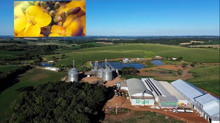 WhatsApp Image 2026-02-18 at 14.12.56