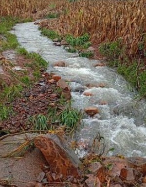 WhatsApp Image 2026-02-18 at 14.46.38