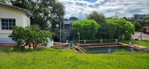 WhatsApp Image 2026-02-20 at 15.45.16