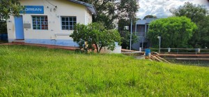 WhatsApp Image 2026-02-20 at 15.45.17