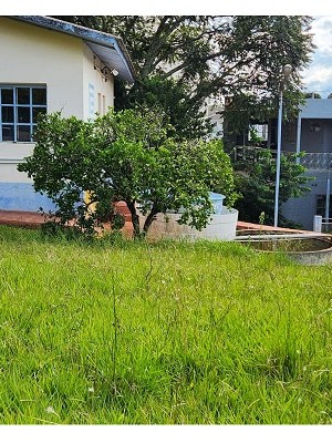 WhatsApp Image 2026-02-20 at 15.45.17