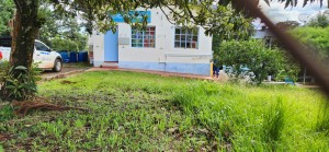 WhatsApp Image 2026-02-20 at 15.45.18