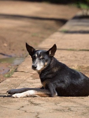 WhatsApp Image 2026-02-23 at 16.16.18