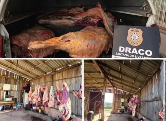 651194937_1512835444183141_4545397751009004591_n