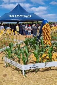 WhatsApp Image 2026-03-02 at 17.56.28