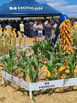 WhatsApp Image 2026-03-02 at 17.56.28