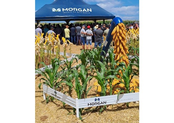 WhatsApp Image 2026-03-02 at 17.56.28