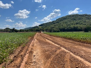 WhatsApp Image 2026-03-05 at 14.06.30 (3)