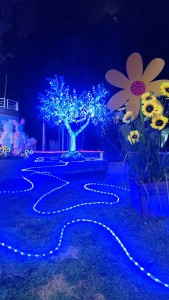 WhatsApp Image 2026-03-06 at 13.35.06 (1)