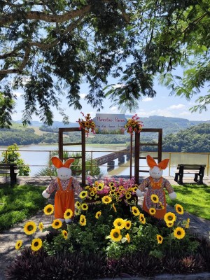 WhatsApp Image 2026-03-06 at 13.35.06