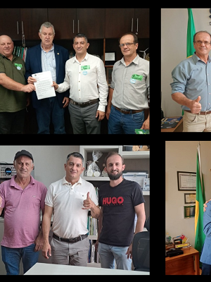 emendas-capa-site-e-folha